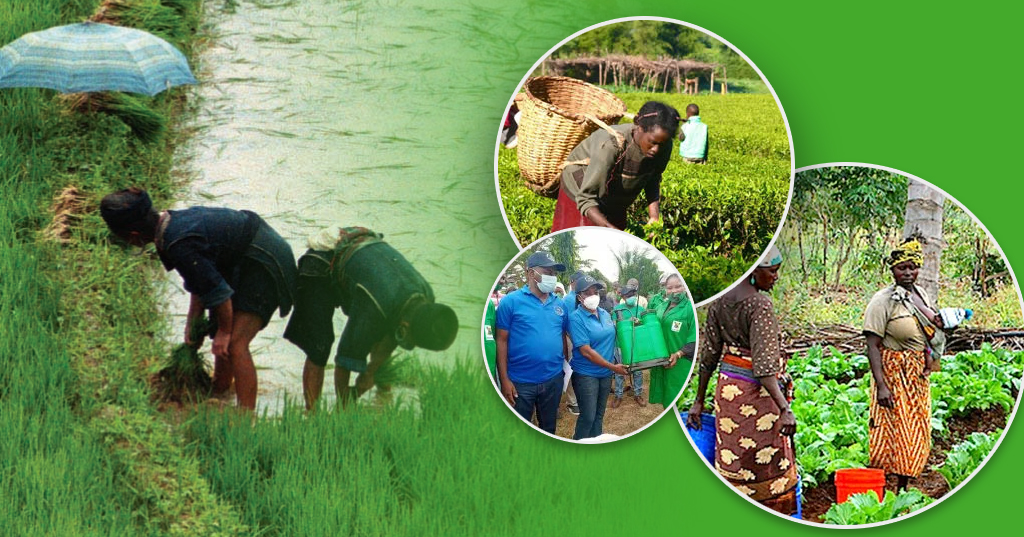 Farmers