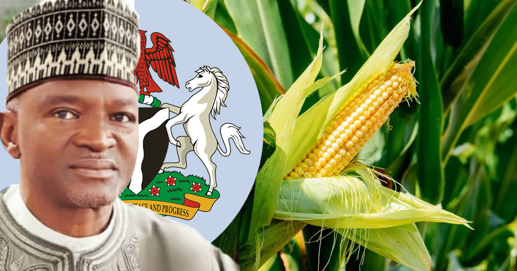 Maize