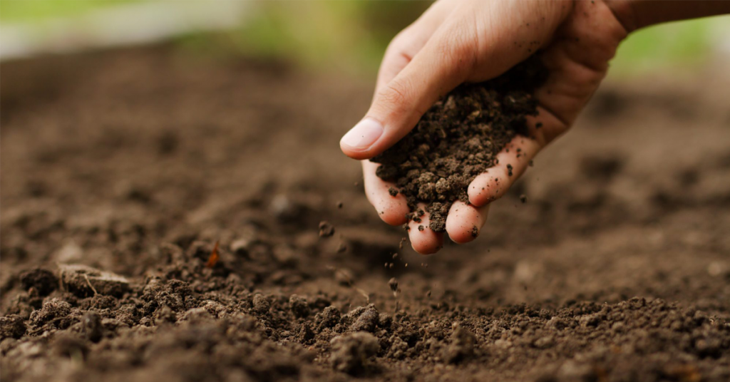 5 Essential Tips to Improve Soil Health