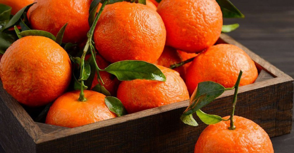 Morocco's Mandarin Exports Flourish