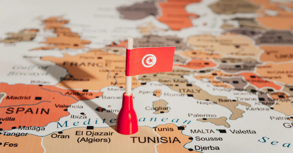 Tunisia's Ambitious Olive Oil Production