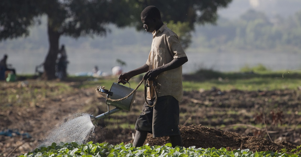 Agricultural Revolution in Africa